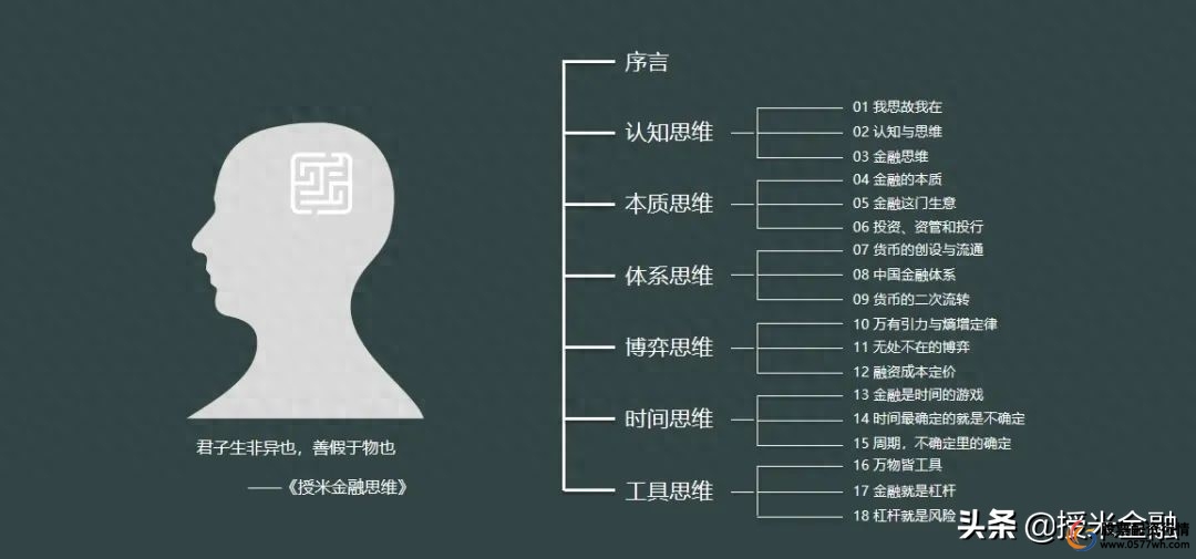 杠杆金融实际例子_金融杠杆_杠杆金融学