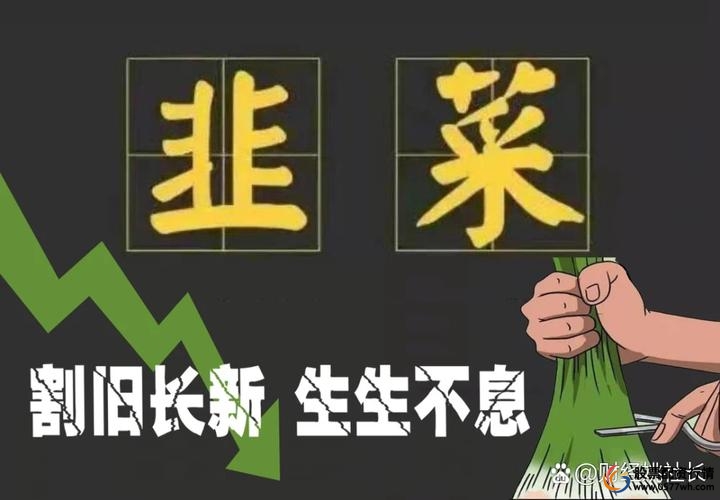 股票配资公司赚钱吗_线上股票配资公司_配资公司的股票