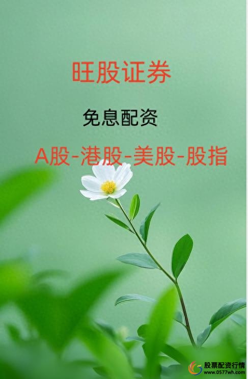 线上配资炒股_AI智能投顾在线配资_区块链技术在线配资透明度