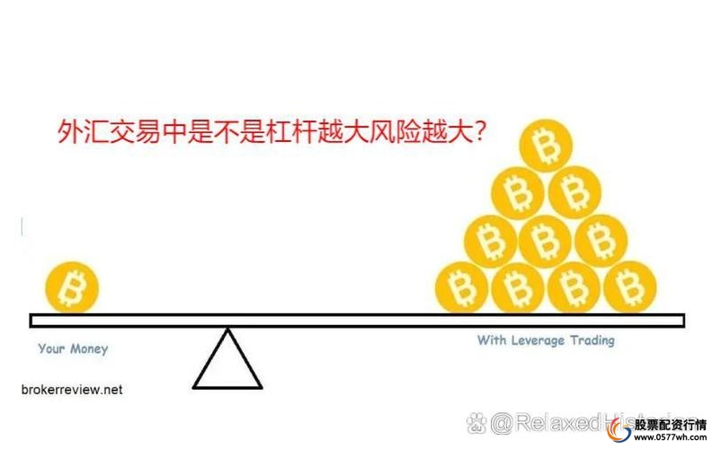 金融杠杆使用比例控制_金融杠杆是什么意思_金融杠杆风险与收益分析