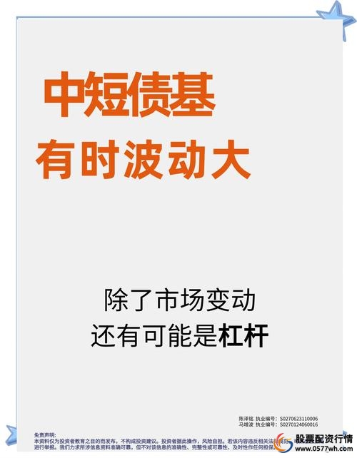 投资杠杆风险与回报_金融杠杆是什么意思_金融杠杆定义