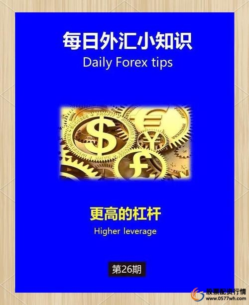 金融杠杆是什么意思_企业财务杠杆计算方法_金融杠杆风险分析