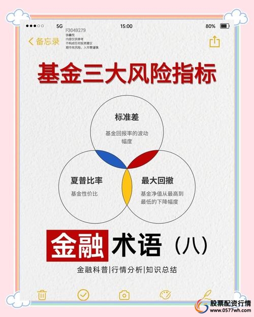 炒股怎么加杠杆购买_评估风险承受能力选择基金产品_基金投资财务杠杆使用方法