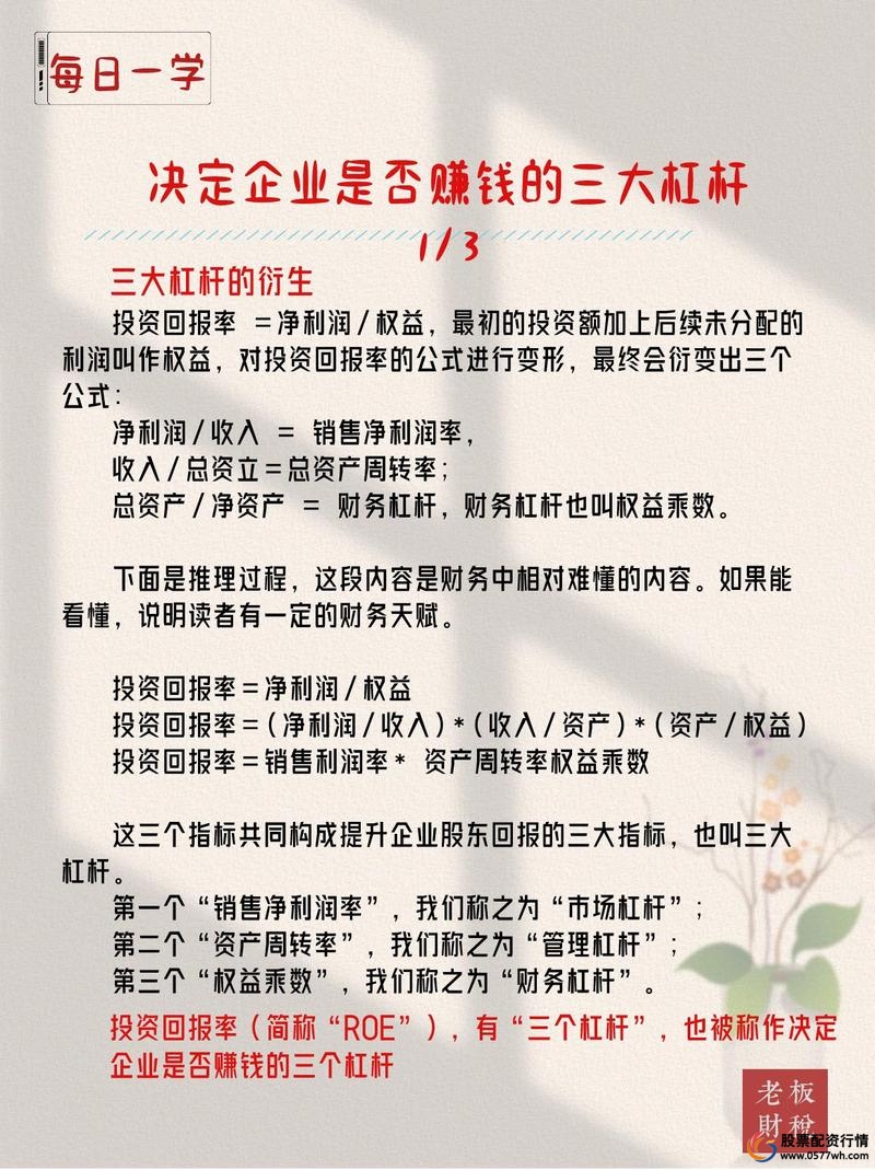 金融杠杆资金作用_炒股资金杠杆_杠杆资金放大收益风险