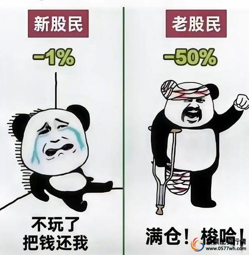 股票配资整顿_温州配资监管_温州股票配资