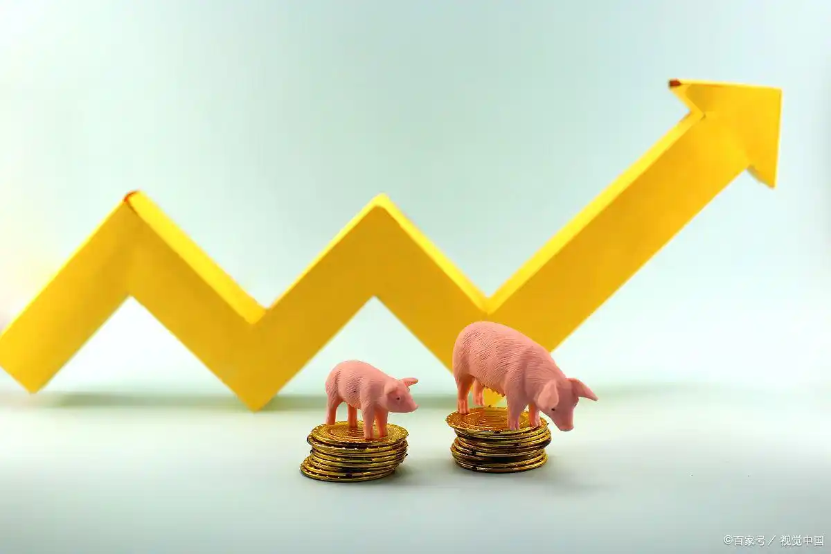 杠杆炒股定义与风险_2万元融资融券操作方法_什么叫配资炒股