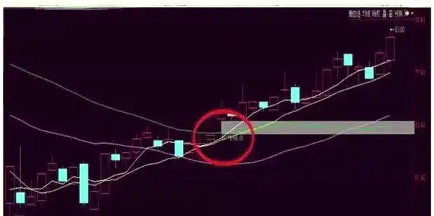 股票投资魅力与挑战_市场随机性与预测难题_股票投资
