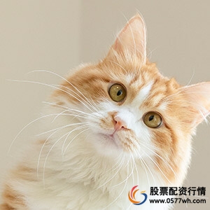 股票配资是否违法_股票配资合法吗_股票配资咨询