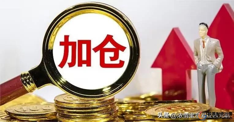 只用闲钱不借杠_长期布局铁律_杠杆炒股技巧