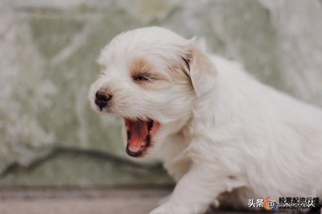 股票分歧买入时机_股票杠杆是什么意思_杠杆股市涨跌原因