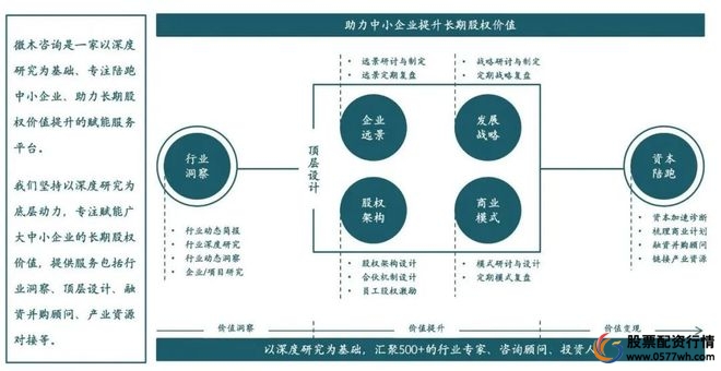 股份_股权_股权配资