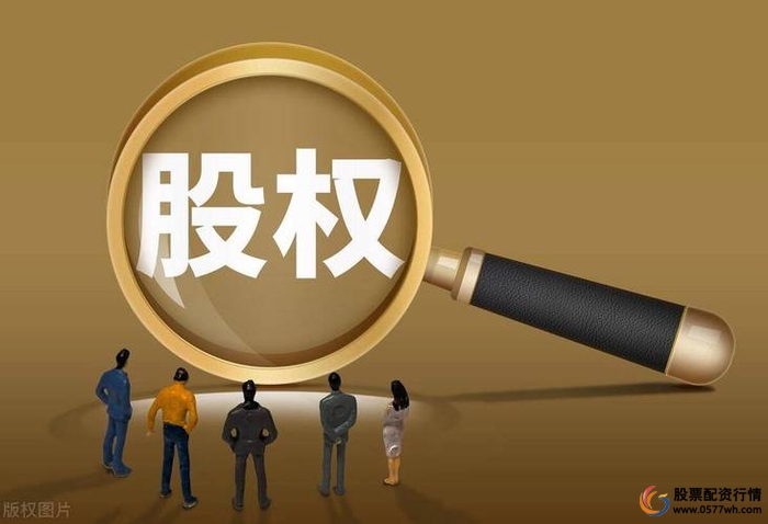 股权重要比例_股权配资_股权概念