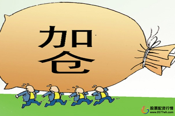 股票加杠杆方式_融资融券股票杠杆_股票加杠杆是什么意思