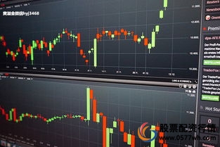 全国前三甲正规配资公司盘点