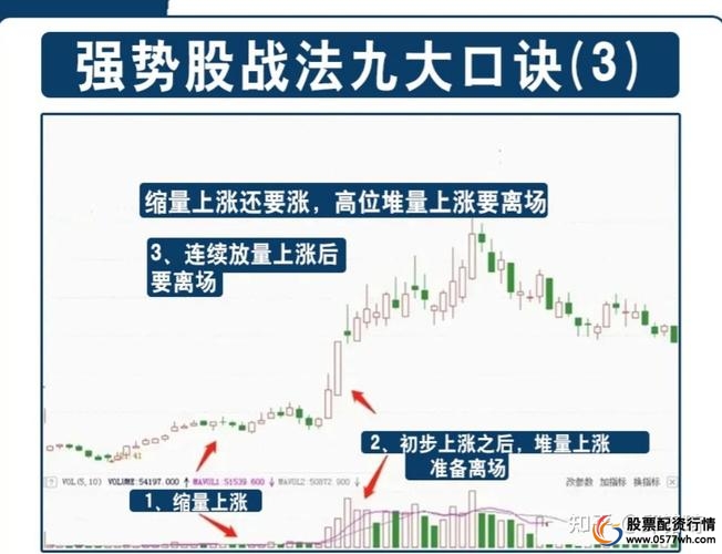 股票基础知识入门指南_新手股票开户流程_股票怎么买新手入门