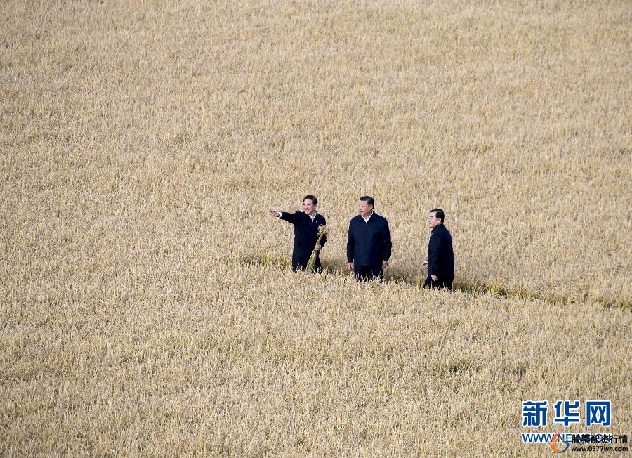 中资优配_优配资是什么平台_股票配资平台公司中承优配