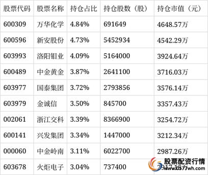优势成长主题投资策略_大类资产配置策略_股票投资